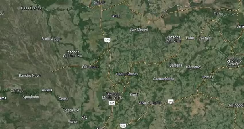 Fazenda dupla aptidão para venda na região de sonora-ms com 1.370 hectares montada na pecuária, boa de benfeitorias e ótima logística