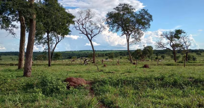 Fazenda para venda na região de Ituramas-MG com 145 hectares na pecuária, aproveita 80% para plantio, usinas tem interesse em arrendar