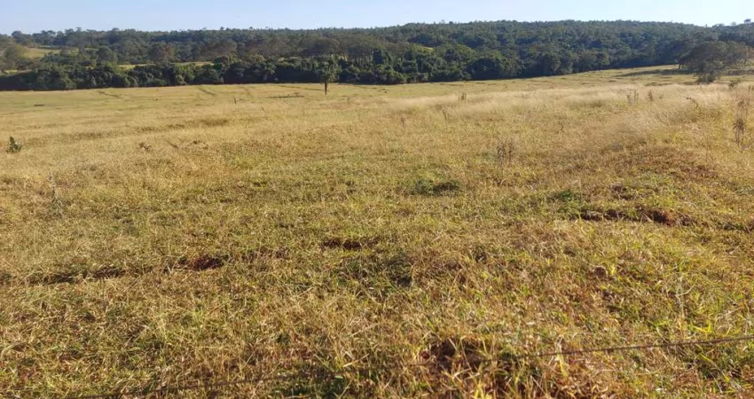 Fazenda dupla aptidao para venda na região de Ituiutaba-MG com 175 hectares na pecuária, pode plantar 140 hectares em cana ou soja