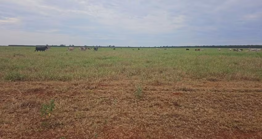 Fazenda dupla aptidão para venda na região de Selviria-MS com 245 alqueires, pecuária, roda pivô irrigação, rica em agua, porteira fechada