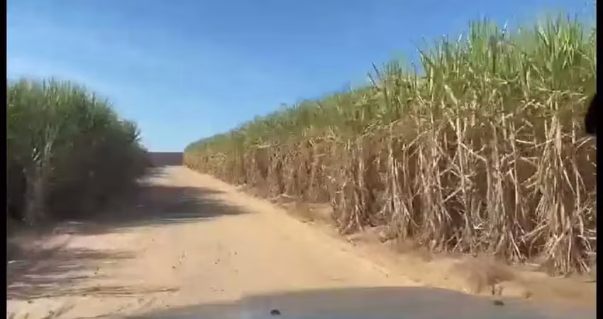Fazenda para venda na região de brotas-sp com 390 alqueires sendo 280 alqueires em cana arrendada, rica em agua, beira do asfalto