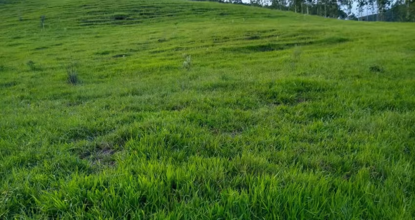 Fazenda na pecuária para venda na região de Torrinha-SP com 140 alqueires, benfeitorias e rica em agua