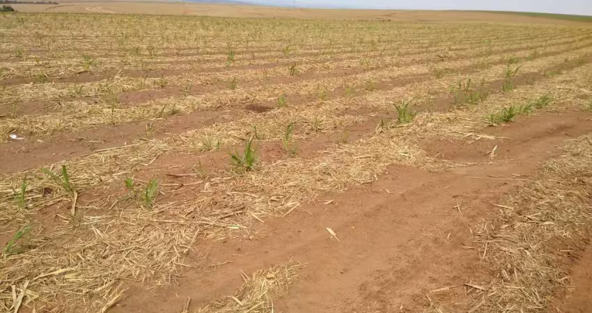 Fazenda para venda na região de brotas-sp com 128 alqueires sendo 110 alqueires em cana arrendada, rica em agua, rio na propriedade