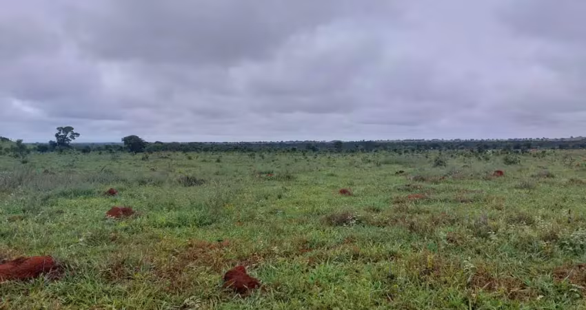 Fazenda grande extensão dupla aptidao a venda na região de nova nazare-mt com 33.000 hectares sendo 19.000 abertos, completa, rica em agua