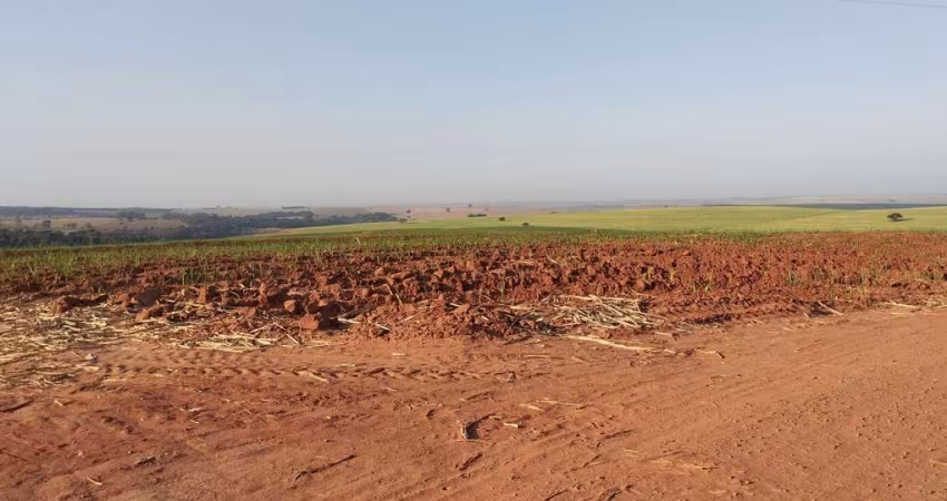 Fazenda dupla aptidao para venda na região de Lins-SP com 115 alqueires em cana e pastagem, fazenda completa