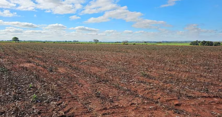 Fazenda para venda na região de Presidente Prudente-SP com 60 alqueires sendo 50 alqueires agricultáveis para cana, soja, algodão e etc