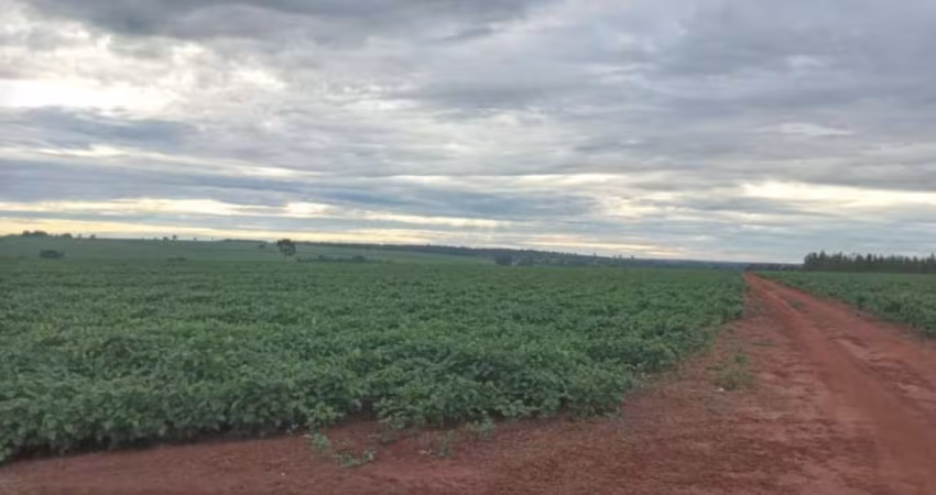 Fazenda na soja para venda na região de Iturama-MG com 182 hectares sendo 174 hectares na soja