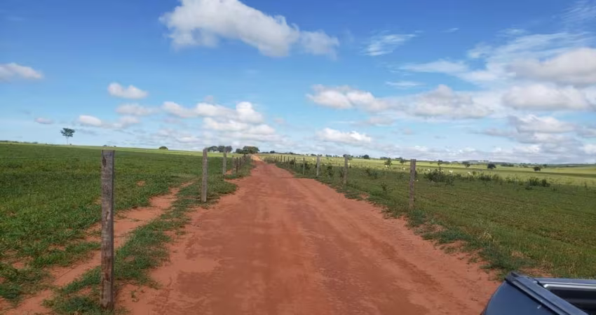 Fazenda dupla aptidao para venda na região de Presidente Venceslau-SP com 88 alqueires montada na pecuária, benfeitorias, beira do asfalto