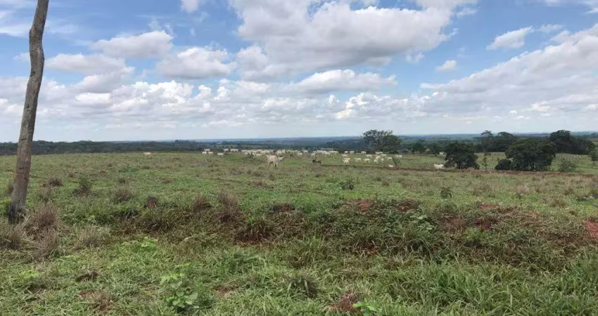 Fazenda para venda na região de jales-sp com 81 alqueires na pecuária, completa em benfeitorias, rica rem agua
