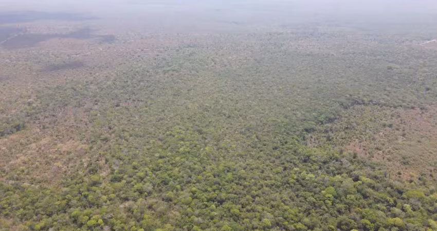 Fazenda para venda na região de nova nazare-mt com 836 alqueires na pecuária, boa de benfeitorias, boa de agua
