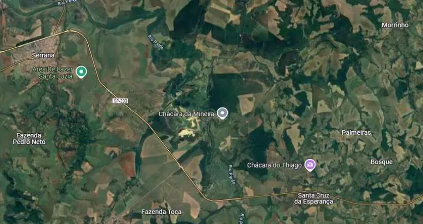 Fazenda dupla aptidao para venda na região de serrana-sp com 104 alqueires, cana e pastagem, rica em agua, beira de rio