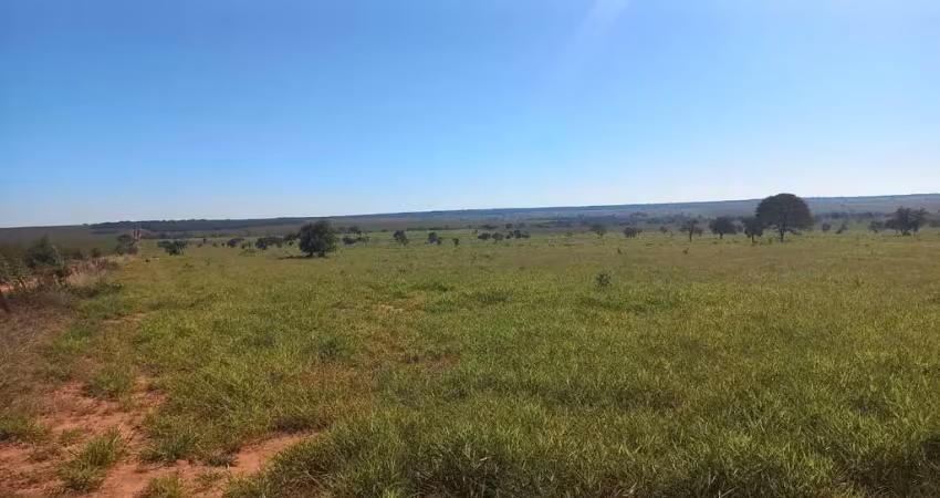 Fazenda para venda na região de ribas do rio pardo-ms com 493 alqueires montada na pecuária, rica em agua e ótima localização