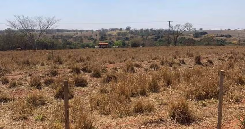 Fazenda dupla aptidão para venda na região de Pereira Barreto-SP com 82 alqueires, em seringueira e pastagem, pode plantar 58 alqueires em cana, beira