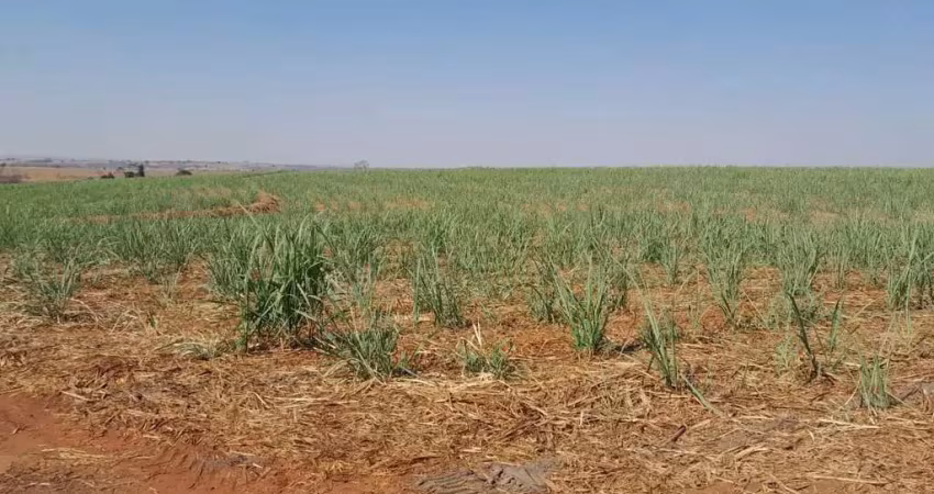 Fazenda para venda na região de jales-sp com 40 alqueires sendo 30 alqueires em cana arrendada