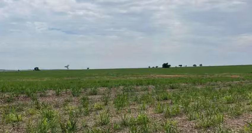 Fazenda para venda na região de presidente prudente-sp com 185 alqueires sendo 160 alqueires em cana arrendada, beira do asfalto, rio na propriedade p