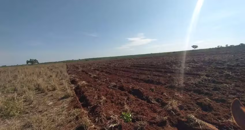 Fazenda para venda na região de querencia-mt com 760 hectares sendo 600 hectares abertos em pastagem, boa de agua e benfeitorias