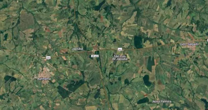 Fazenda para venda na região de auriflama-sp com 64 alqueires sendo 54 alqueires em cana arrendada, beira do asfalto, benfeitorias
