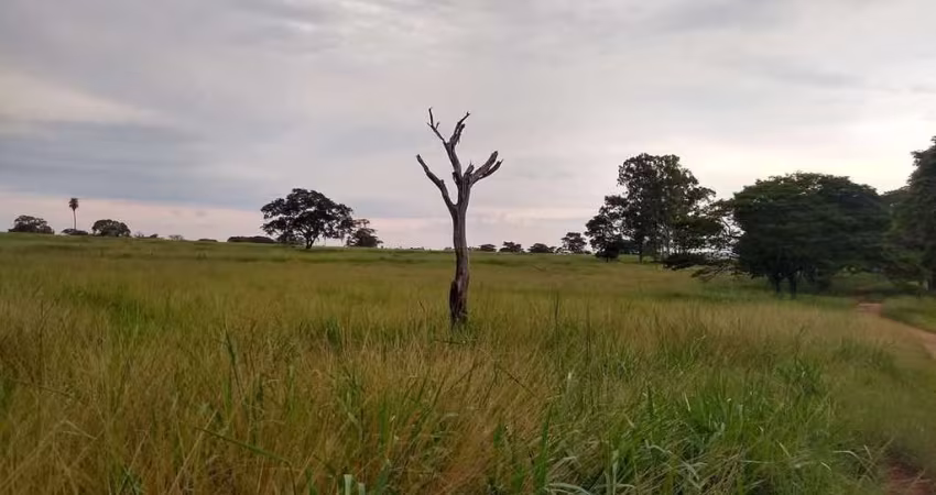 Sitio para venda na região de Jales-SP com 21 alqueires na pecuária, confinamento e benfeitorias