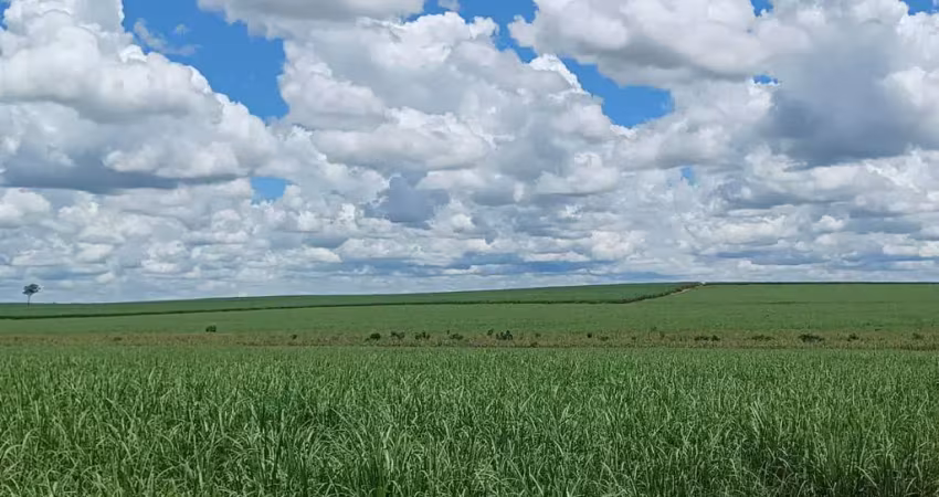 Fazenda para venda na região de andradina-sp com 148 alqueires sendo 124 alqueires em cana arrendada, próxima do asfalto e da usina
