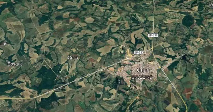 Excelente sitio multipla aptidao para venda na região de ribeirão preto-sp com 30 hectares, granja, cafe e pastagem, ideal tambem para loteamento