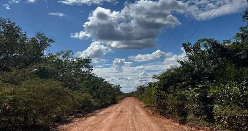 Fazenda bruta para venda na região de Santa Luz-PI com 5.400 hectares, área de baixao com Cerradão, riacho na propriedade