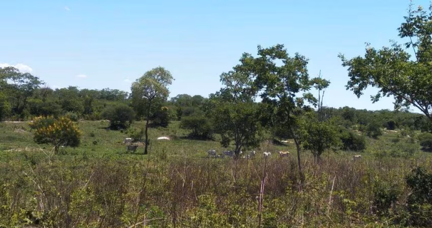 Fazenda dupla aptidão para venda em Santa Rita de Cassia-BA com 520 hectares sendo 400 hectares abertos, beira do asfalto, atual na pecuária