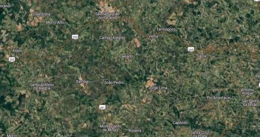 Fazenda dupla aptidao para venda na região de São Sebastiao do Paraiso-MG com 174 hectares, café, eucalipto e pecuária, porteira fechada, rica em agua