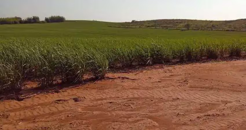Fazenda dupla aptidão para venda na região de cafelandia-sp com 169 alqueires sendo 128 alqueires em cana arrendada, mais pastagem, benfeitorias, beir