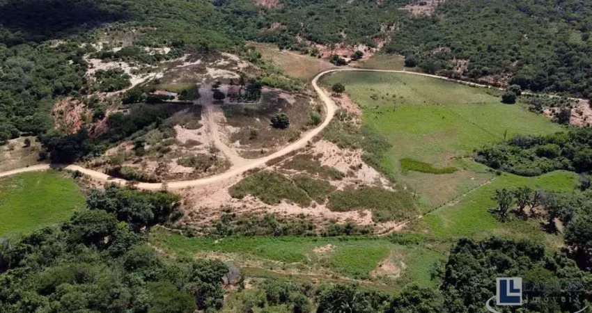 Fazenda para pecuária a venda em manga-mg com 137,96 hectares, benfeitorias, rica em agua, rio na propriedade e pastagem