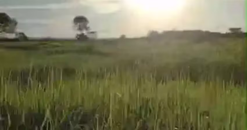 Fazenda dupla aptidao para venda na região de cariri do tocantins-to com 998 hectares, toda aberta, excelente argila e benfeitorias