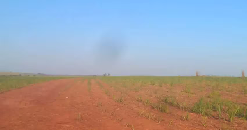 Fazenda para venda na região de araçatuba-sp com 415 alqueires sendo 350 alqueires em cana arrendada, rica em agua, beira da represa, terra de cultura