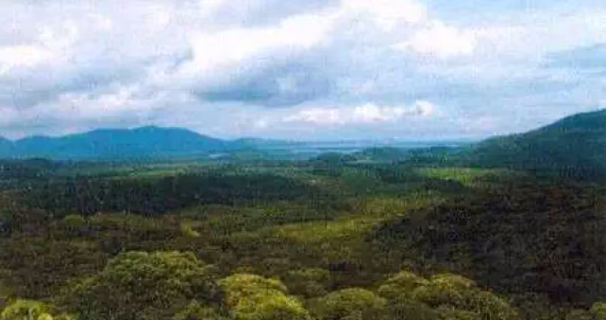 Fazenda em mata nativa para venda em guaraqueçaba-pr, área com 248 hectares, ideal para compensação, garantias bancarias entre outros