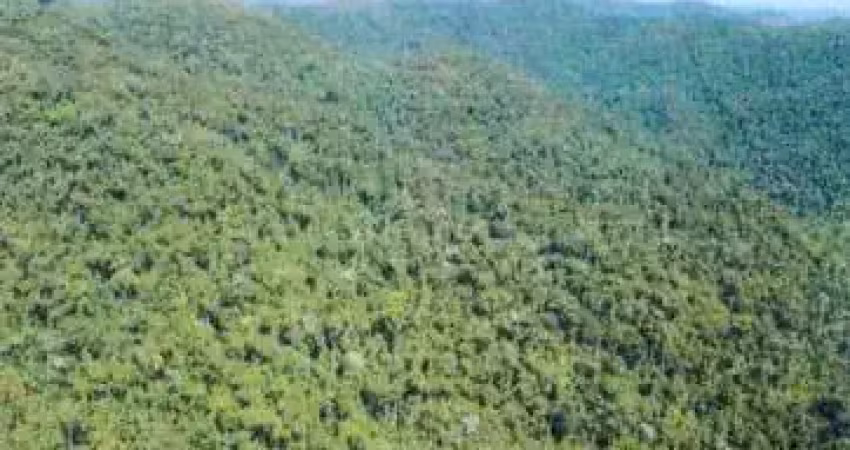 Fazenda em mata nativa para venda em guaraqueçaba-pr, área com 113 hectares, ideal para compensação, garantias bancarias entre outros