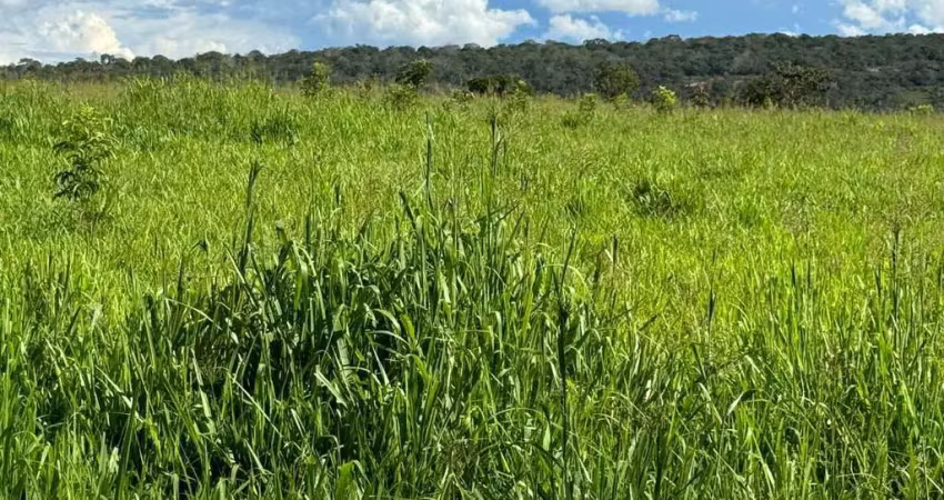 Fazenda para venda na região de primavera do leste-mt com 1.850 hectares, dupla aptidao, boa de agua e benfeitorias