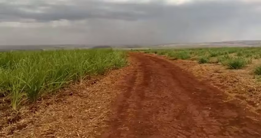 Sitio para venda em igarapava-sp com 13 alqueires sendo 12,5 alqueires em cana,, terra de cultura, proximo de varias usinas