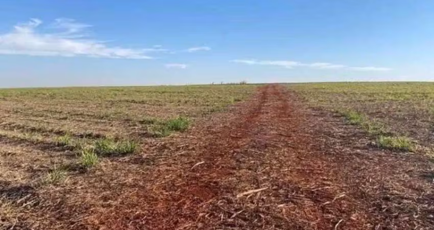 Fazenda para venda na região de pereira barreto-sp com 998 alqueires sendo 900 alqueires em cana arrendada, rica em agua, rio na propriedade.