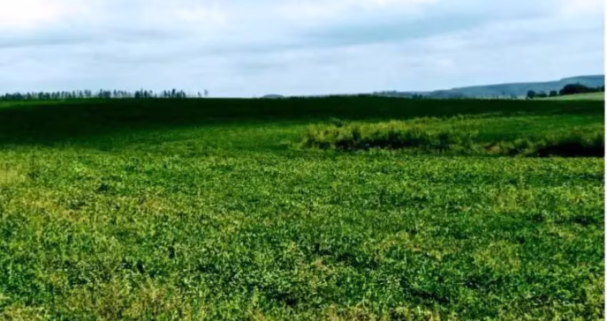 Fazenda para venda na região de bauru-sp, com 132 alqueires, planta 125 alqueires, 1 km do asfalto, ótima localização