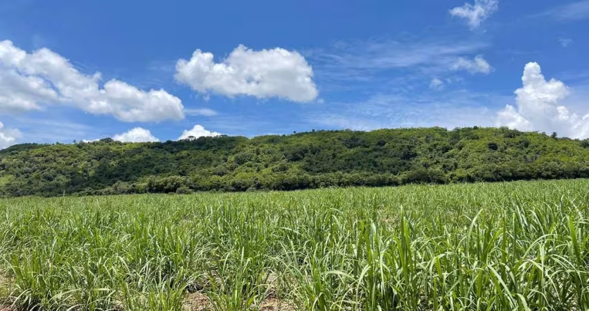 Fazenda dupla aptidão para venda na regiao de Porto Ferreira-SP, com 106 alqueires sendo 55 alq em cana arrendada mais 25 alq em pasto, boa de agua