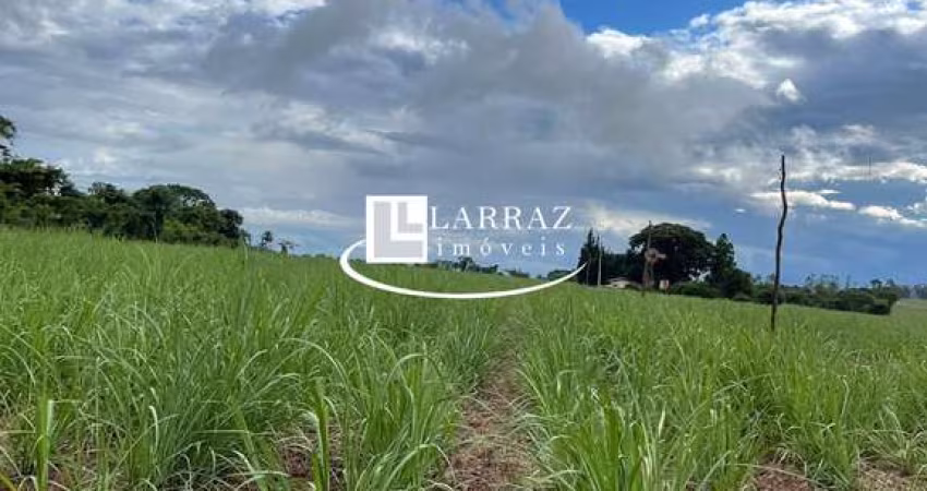 Sitio para venda na região de São Carlos-SP, com 10 alqueires sendo 8 alqueires em cana arrendada mais pasto, casa simples, terra massape