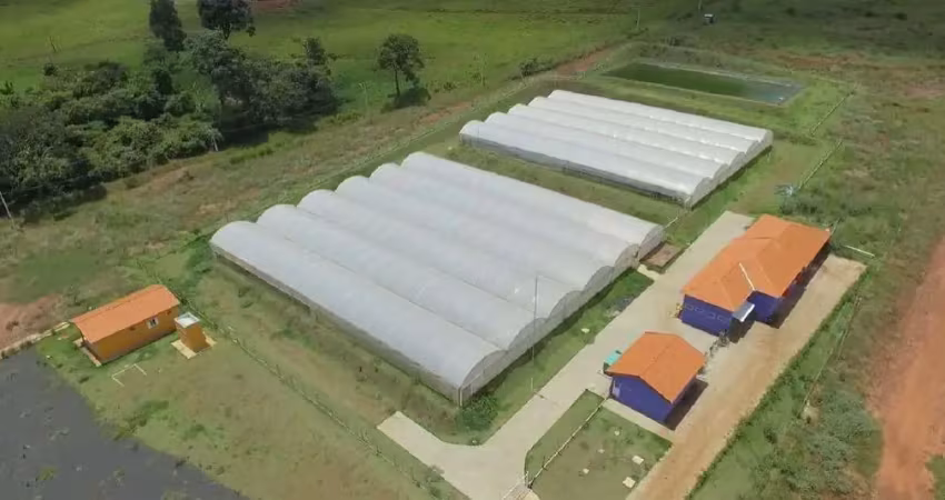 Agroindustria com frigorifico para venda na região de ribeirão preto-sp, area total 13 hectares e infraestrutura completa e de primeira para aquicultu