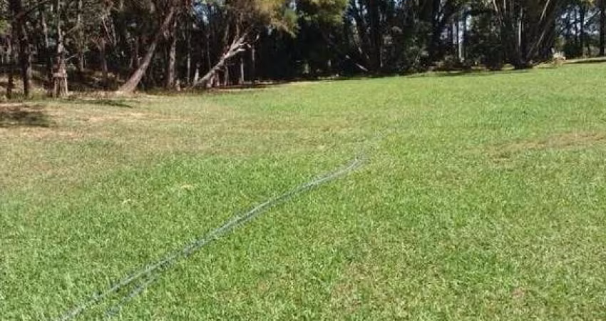 Sitio para venda na região de Campo Alegre de Goias-GO, com 4,5 alqueirao GO, ótima casa sede, poço artesiano alta vazão, rica em agua