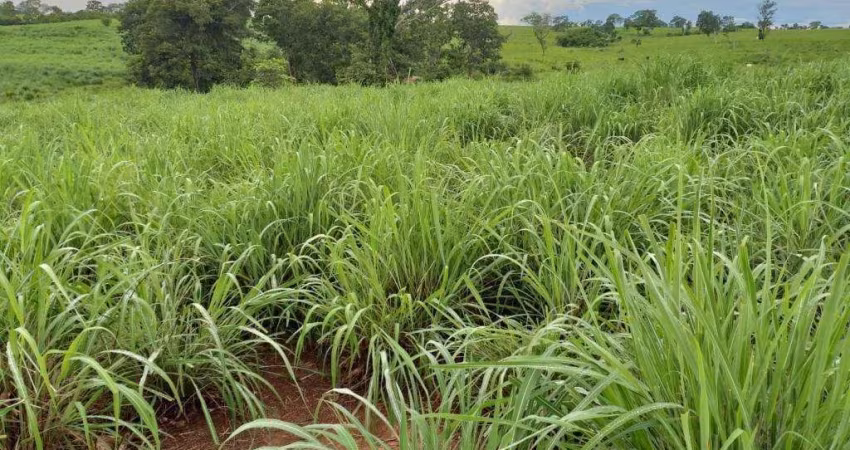 Ótima fazenda para venda na região de Monte Alegre de Goias -GO, com 2.600 hectares, montada pecuária, muita agua e benfeitorias