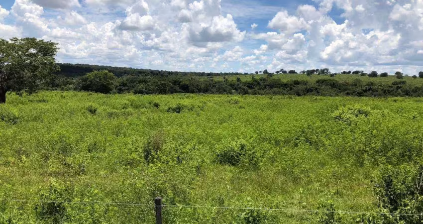 Ótima fazenda dupla aptidão para venda na região de primavera do leste-mt, com 6.766 hectares, atual em pecuária, muitas benfeitorias, rica agua