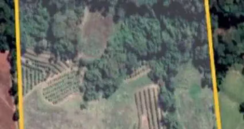 Sitio para venda em fernando prestes-sp, com 8 alqueires planta 6,5 alqueires, atualmente vários pés de frutas, sem benfeitorias
