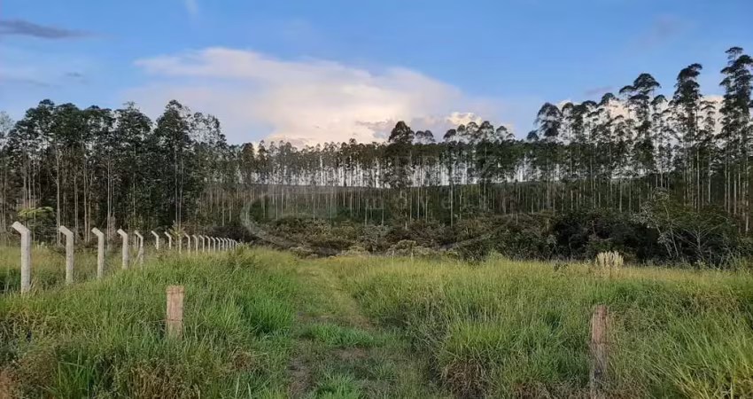 Excelente fazenda para venda em altinopolis-sp, com 49 alqueires, cana e eucalipto, sem benfeitorias, muito boa de agua, rio sapucai