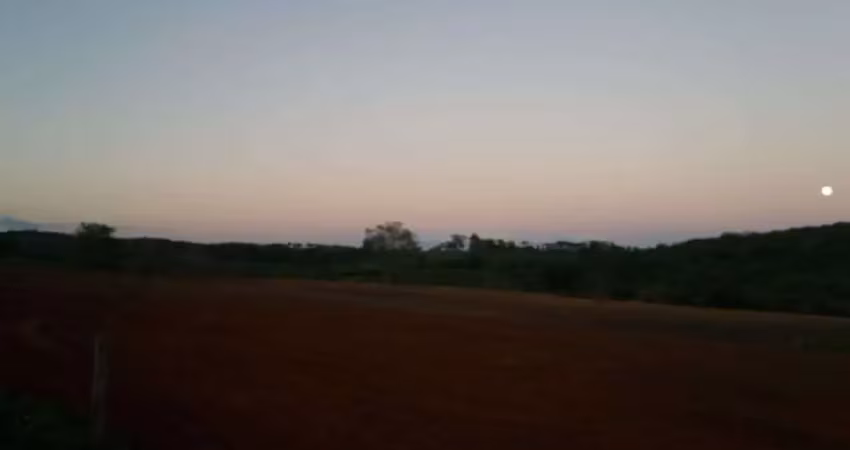 Fazenda para venda em uberaba com 240,7627hectares, 3 otimas casas, nascentes, córrego e rio na propriedade, formada em pastagem e  160 hectares  em c
