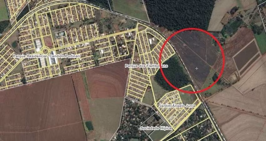 Area para venda no Jardim Angelo Jurca / Parque dos Flamboyants com uma area total de 87.000 m2