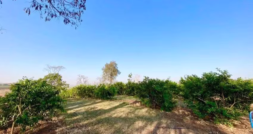 Excelente sitio múltipla aptidão para venda na regiao de jaboticabal-sp, com 8,20 alqueires sendo 6 alqueires para lavoura, bom de agua, corrego na pr