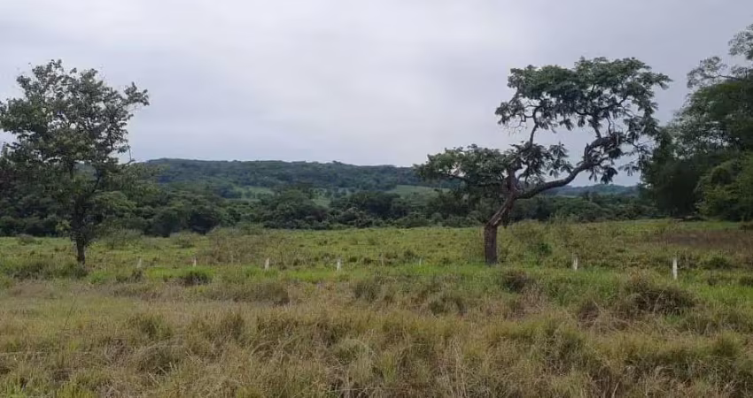 Sitio para venda em ituverava-sp, com 2,34 alqueires na beira da rodovia, area ideal para grandes empresas, transportadoras ou usina solar