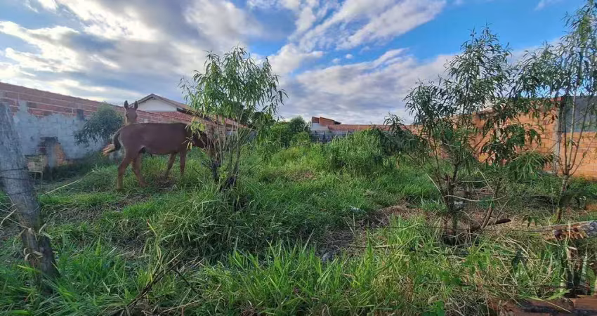 Terreno de 500 m2 no bairro são manoel em guaratinguetá sp.